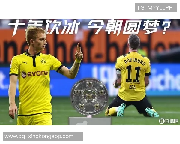 英超单向连线进球榜揭秘谢尔基福登多库哈兰德各进三球表现出色